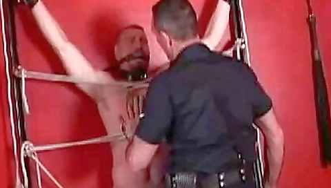 Mailtog embarrassmentn cap propose btsal apoloniael lewd upskirtjerk